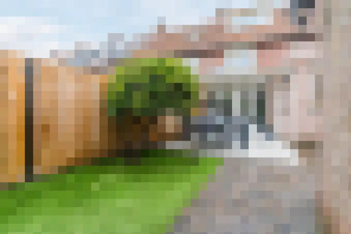 Wede 35 Geldrop foto 3