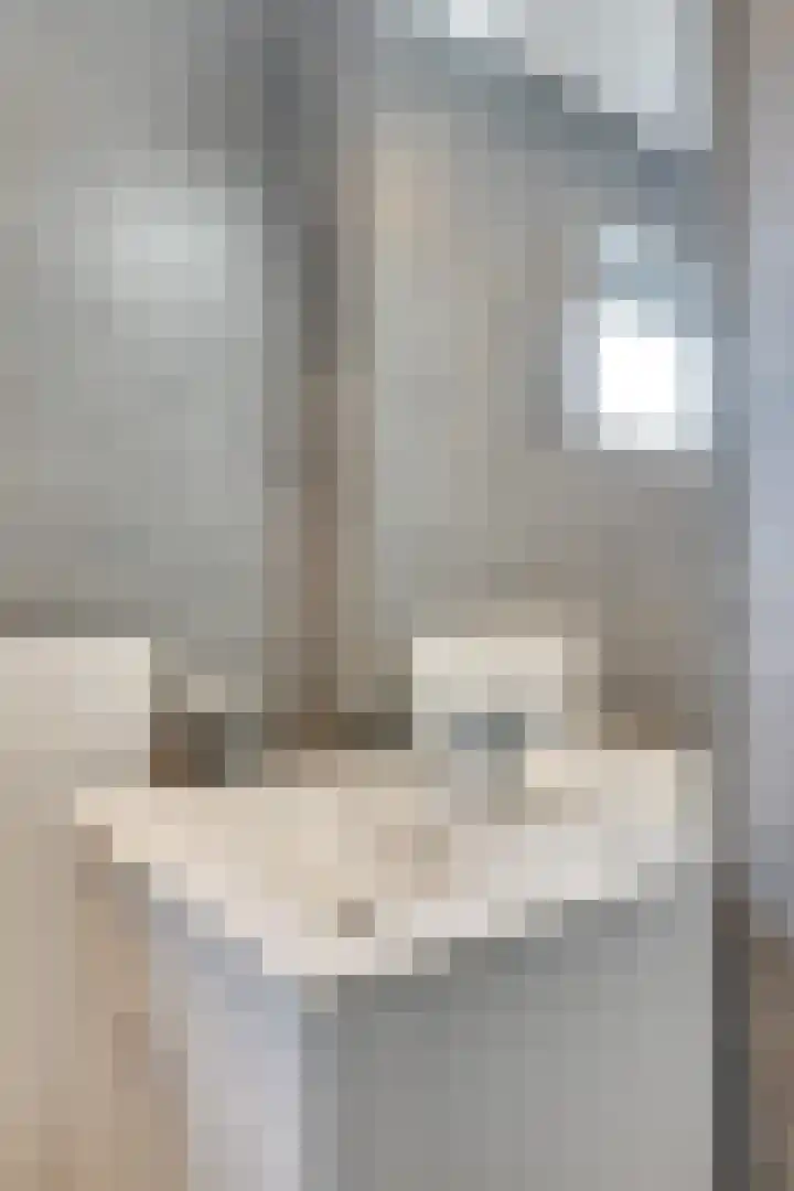 Wede 35 Geldrop foto 3