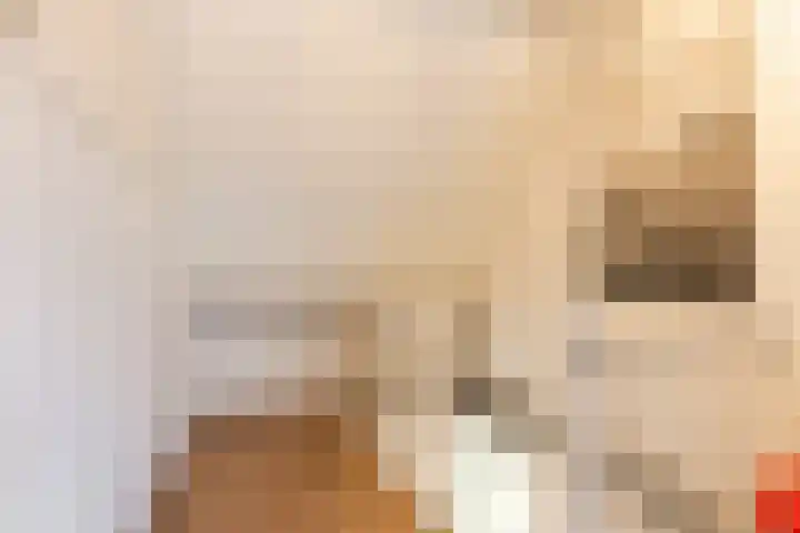Wede 35 Geldrop thumbnail 34