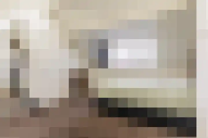 Wede 35 Geldrop thumbnail 37