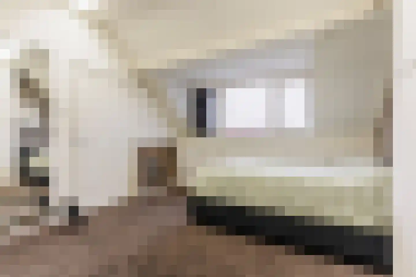 Wede 35 Geldrop thumbnail 37