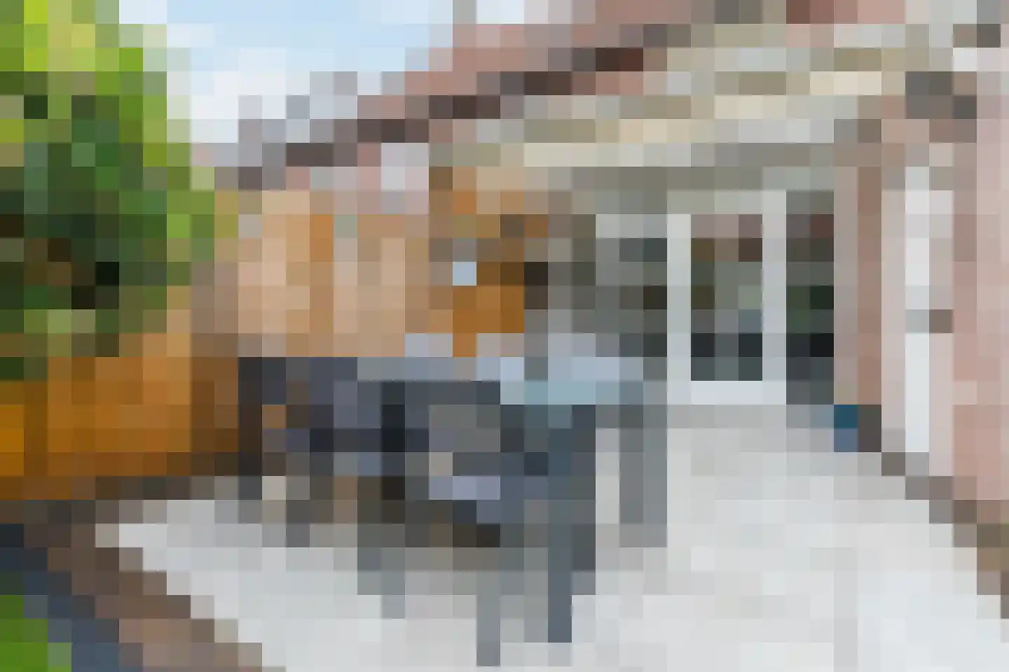 Wede 35 Geldrop thumbnail 40