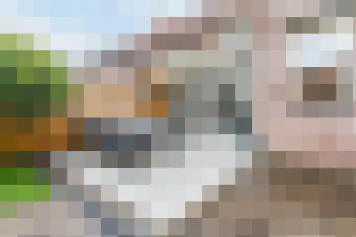 Wede 35 Geldrop thumbnail 41