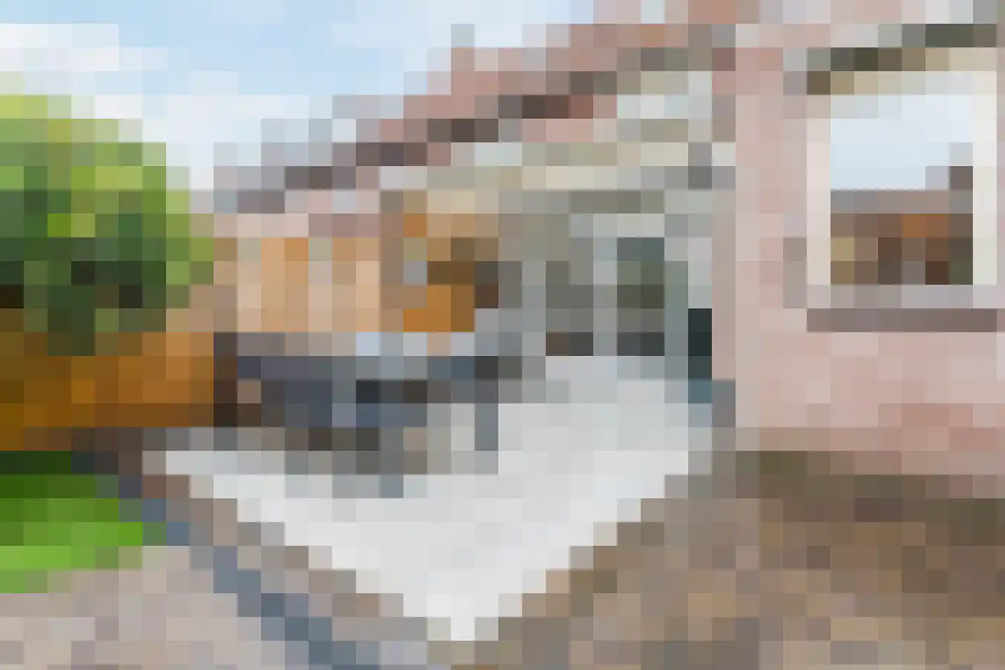 Wede 35 Geldrop thumbnail 41