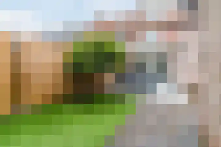 Wede 35 Geldrop thumbnail 42