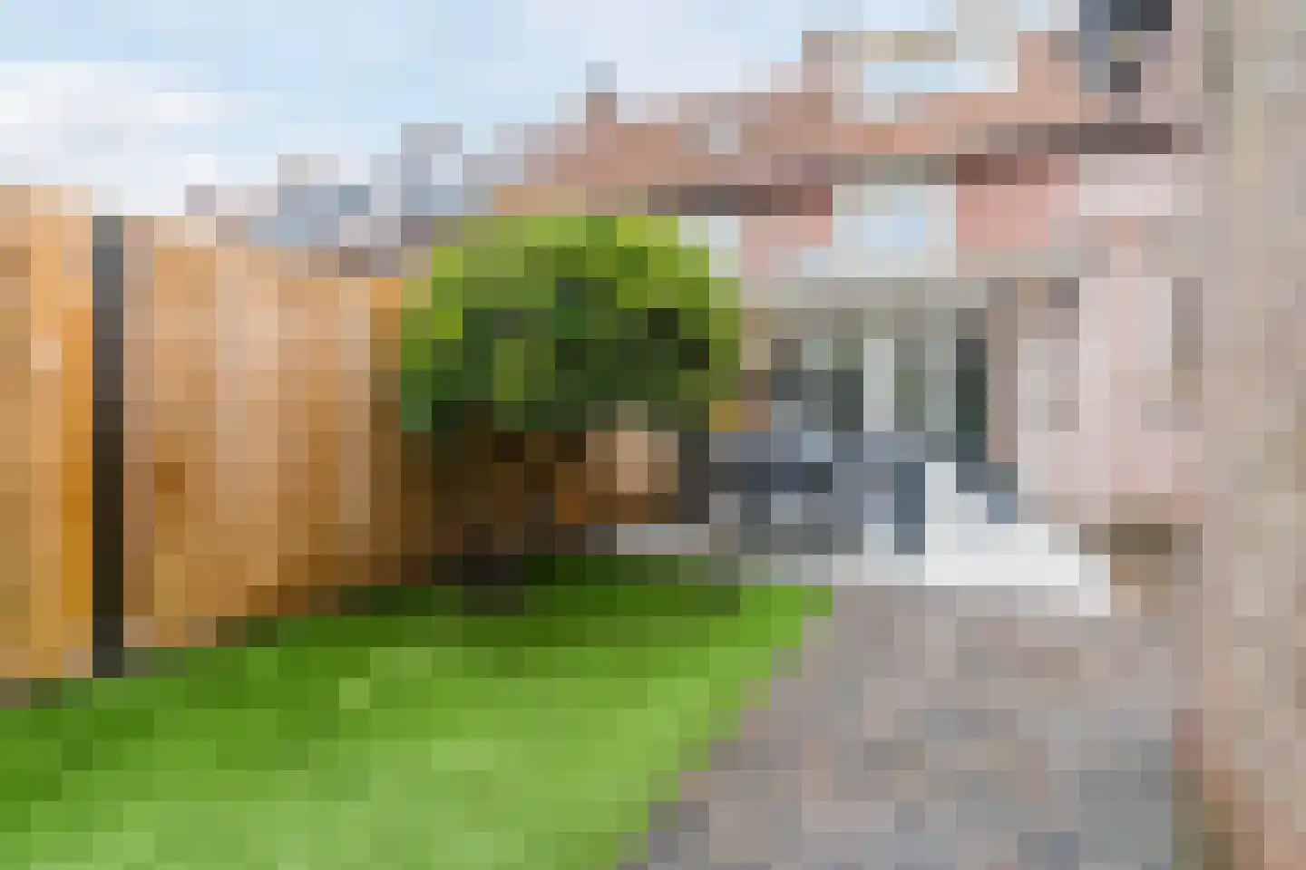 Wede 35 Geldrop thumbnail 42