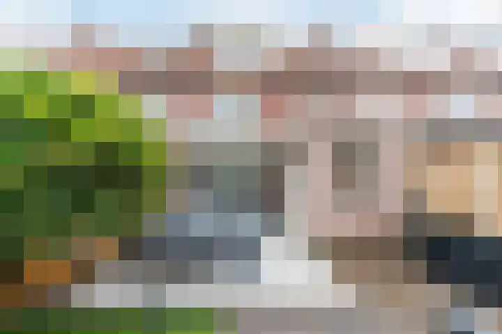 Wede 35 Geldrop thumbnail 43