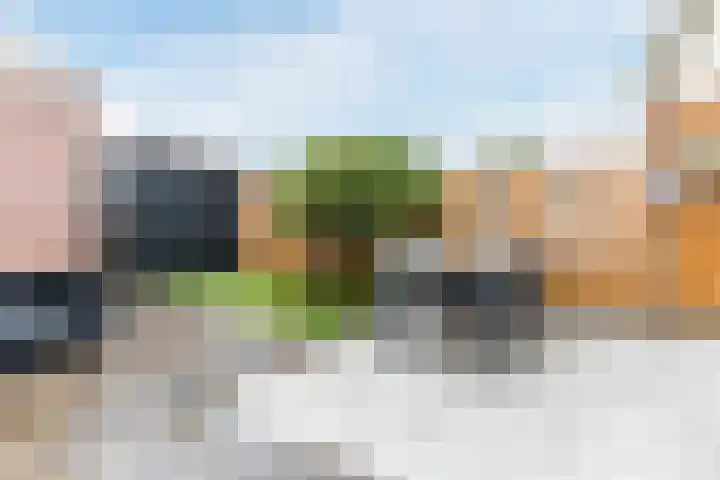 Wede 35 Geldrop thumbnail 46