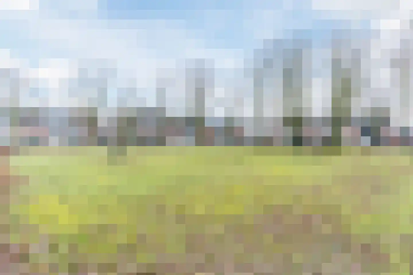 Wede 35 Geldrop thumbnail 54