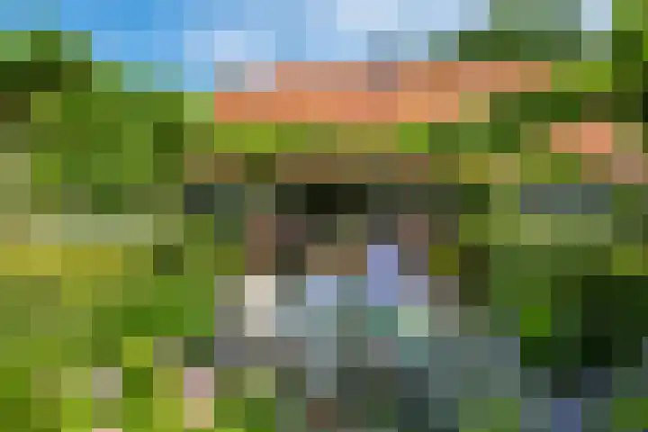 Wede 35 Geldrop thumbnail 54