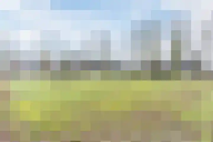 Wede 35 Geldrop thumbnail 54