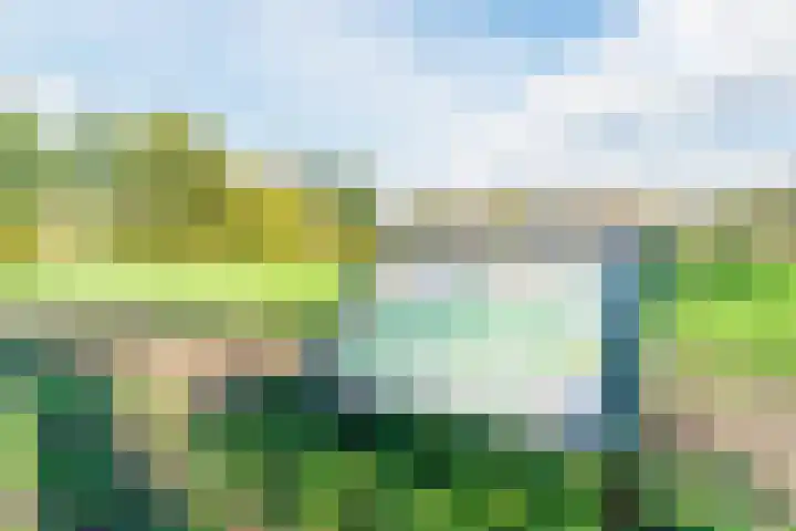 Wede 35 Geldrop thumbnail 57
