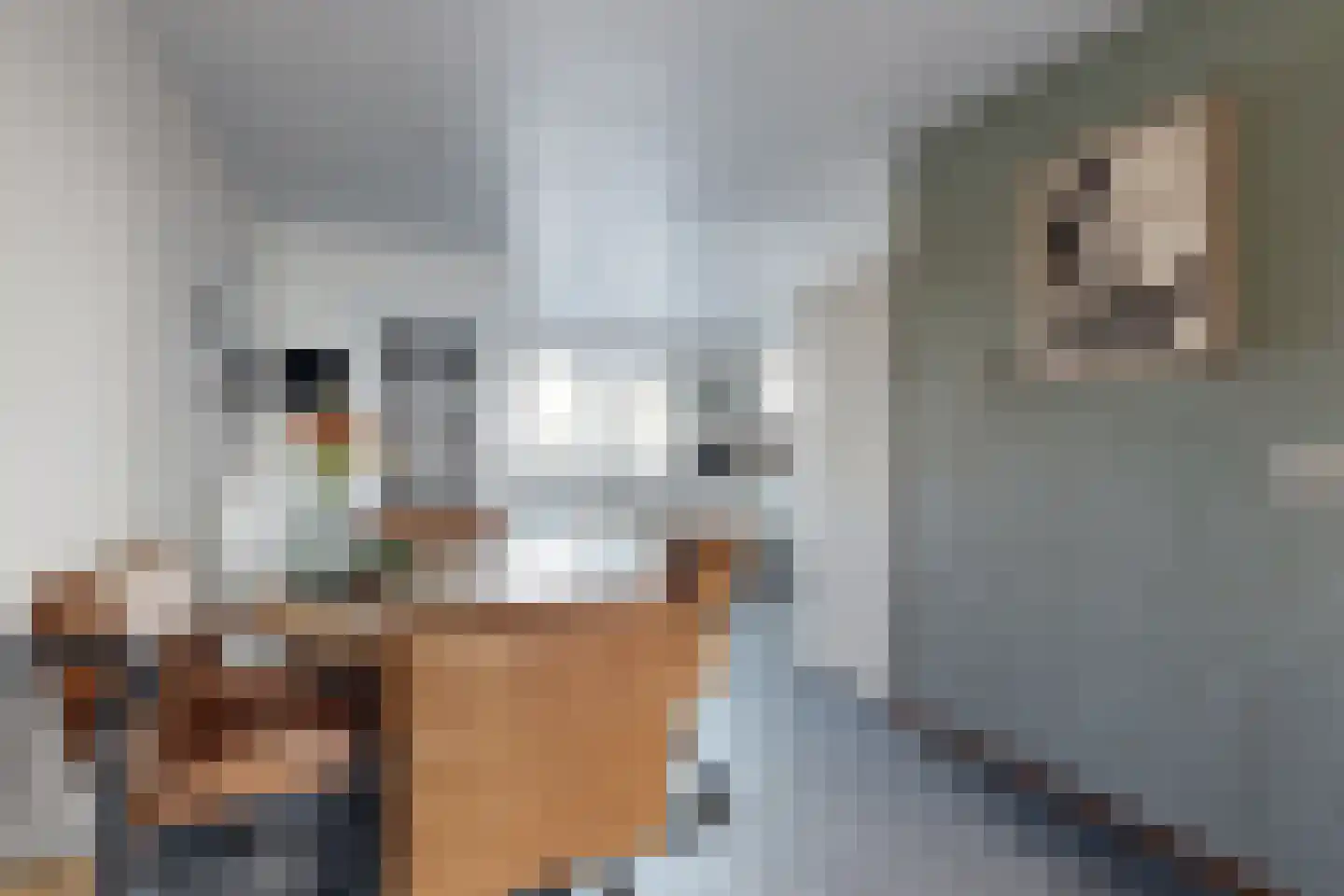Wede 4 Zevenbergen thumbnail 11
