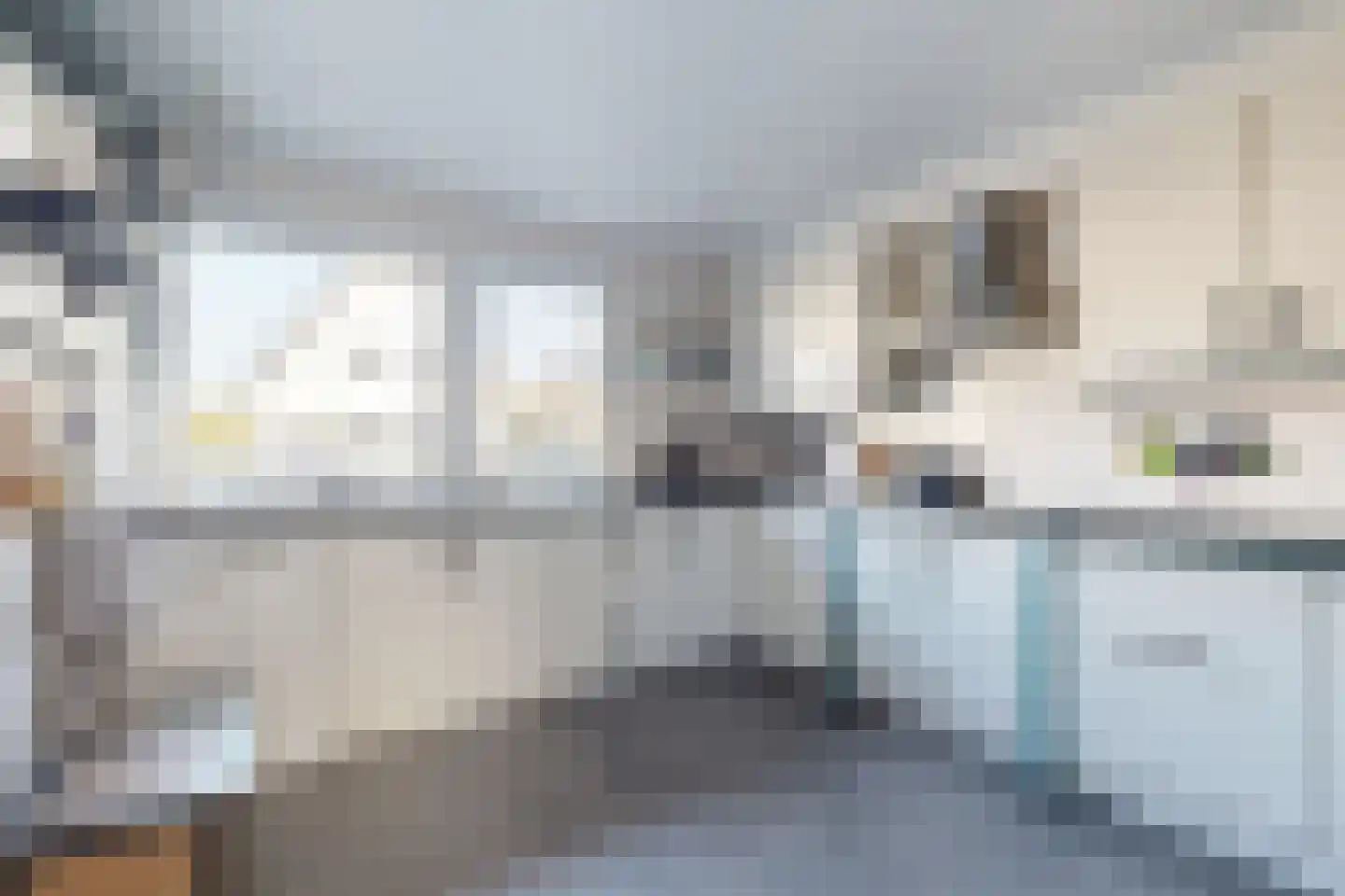 Wede 4 Zevenbergen thumbnail 19