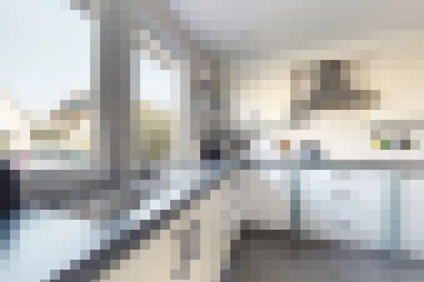 Wede 4 Zevenbergen thumbnail 21