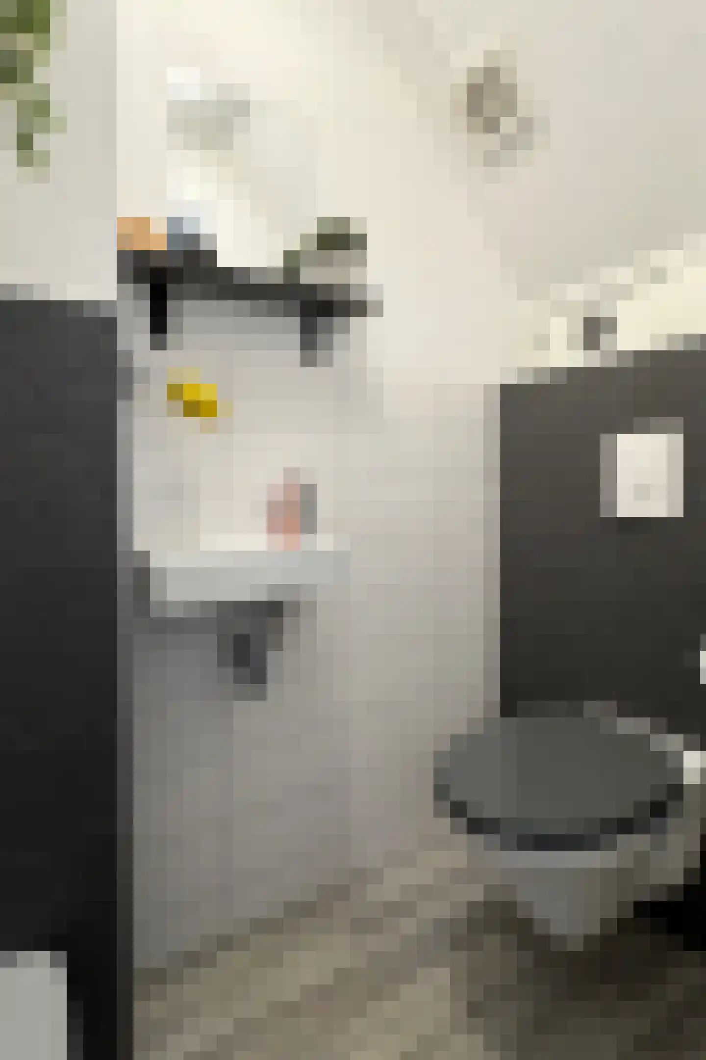 Wede 4 Zevenbergen thumbnail 27