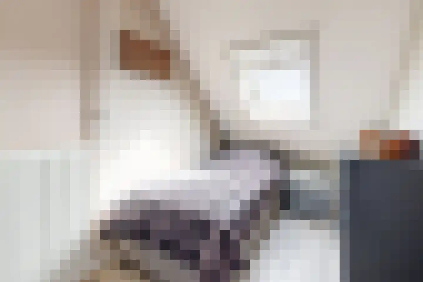 Wede 4 Zevenbergen thumbnail 32