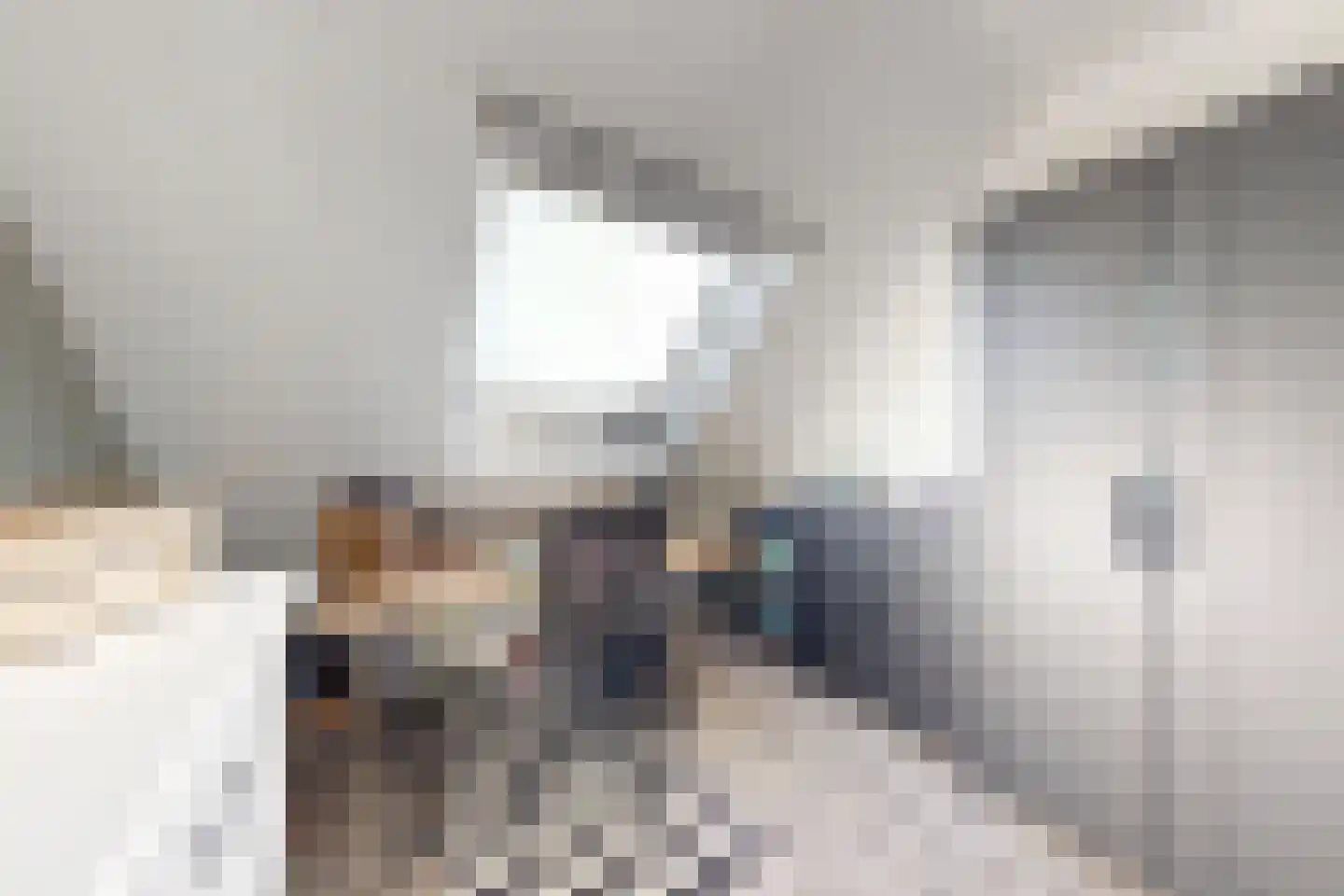 Wede 4 Zevenbergen thumbnail 36