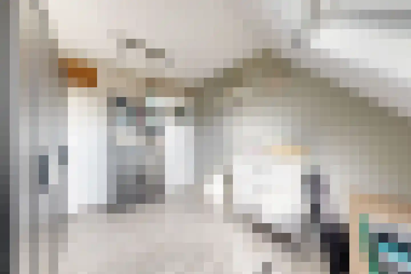 Wede 4 Zevenbergen thumbnail 37