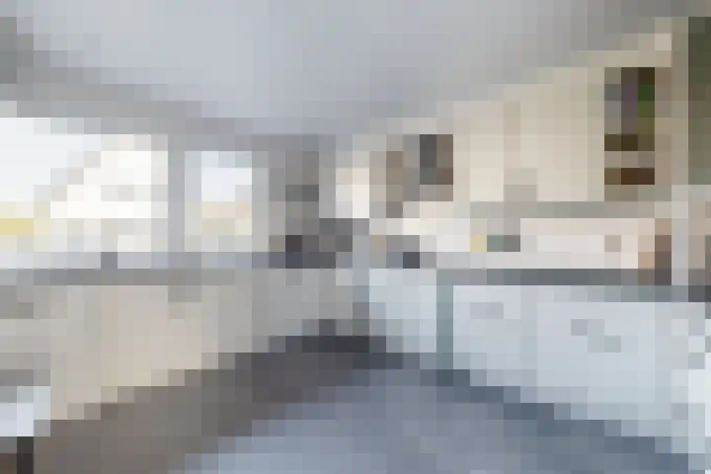 Wede 4 Zevenbergen thumbnail 4