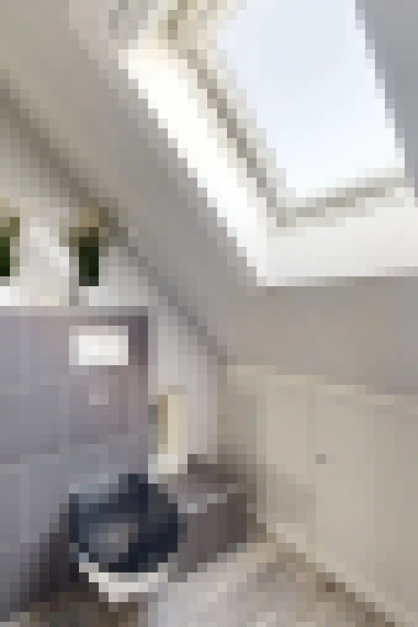 Wede 4 Zevenbergen thumbnail 40