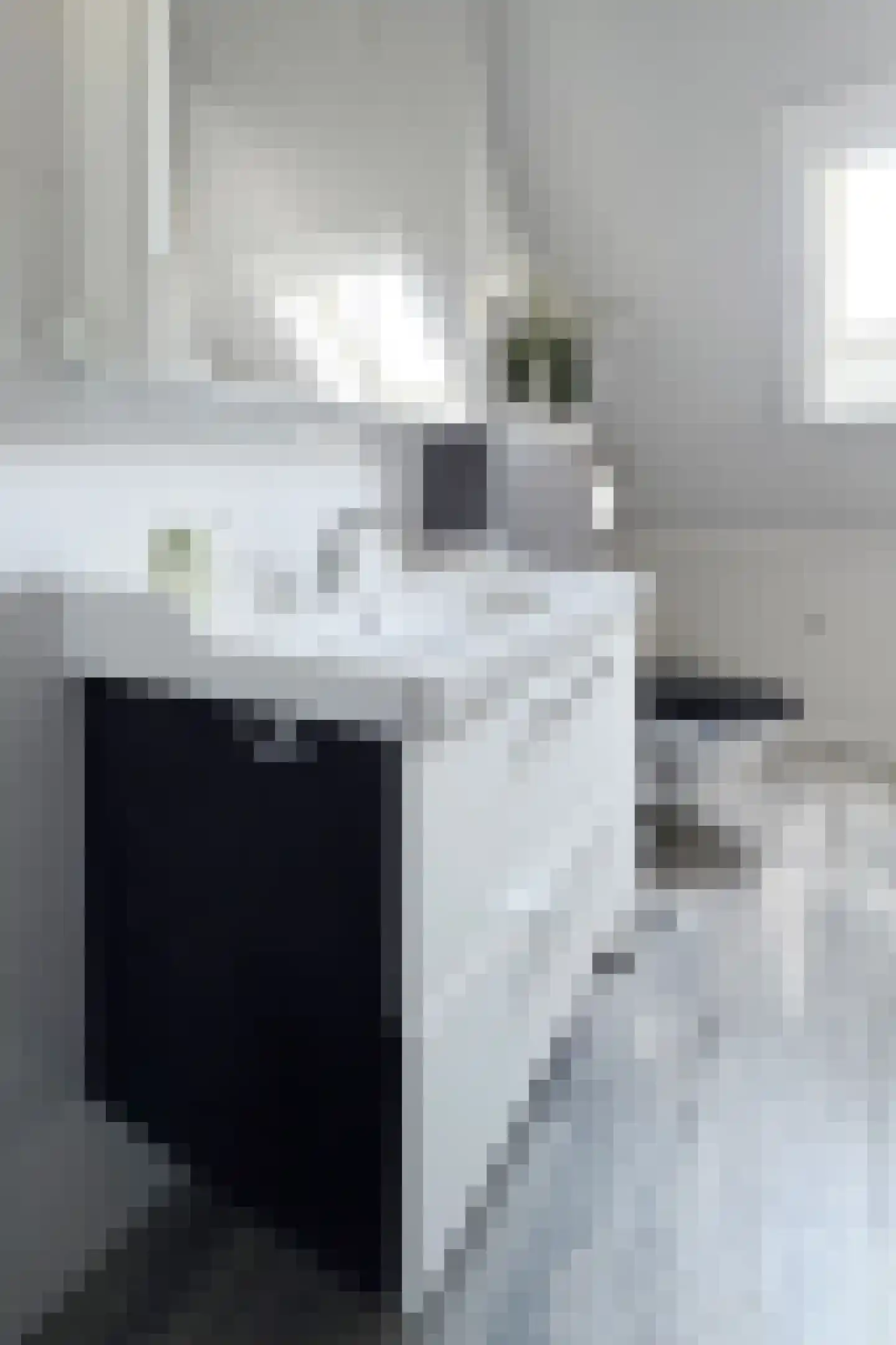 Wede 4 Zevenbergen thumbnail 43