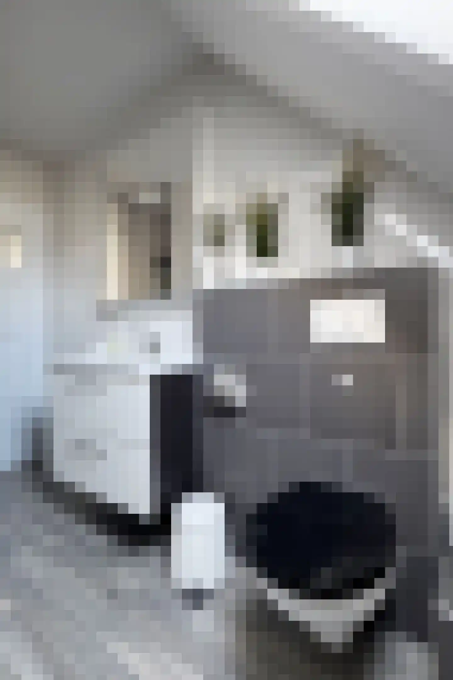 Wede 4 Zevenbergen thumbnail 45