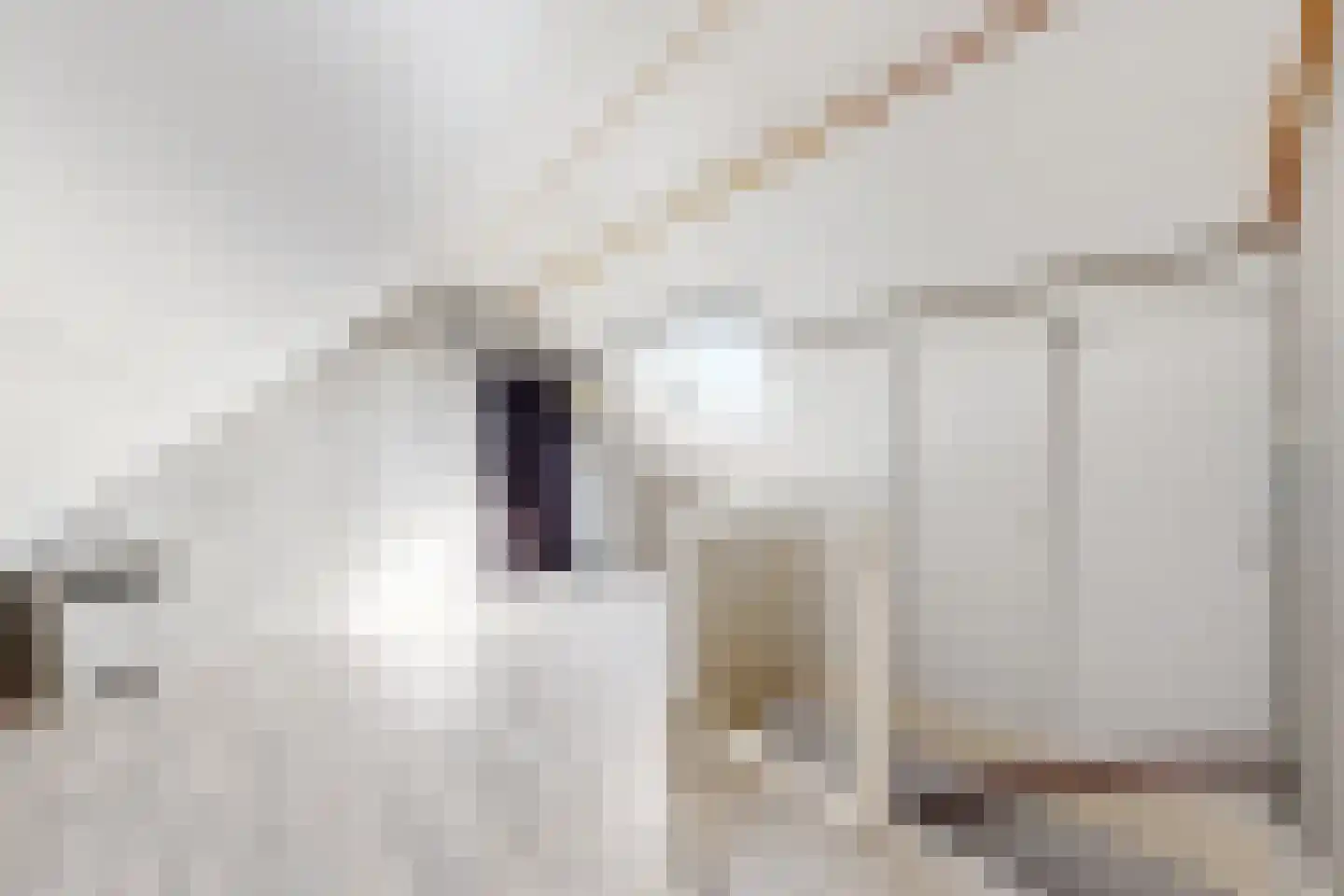 Wede 4 Zevenbergen thumbnail 48