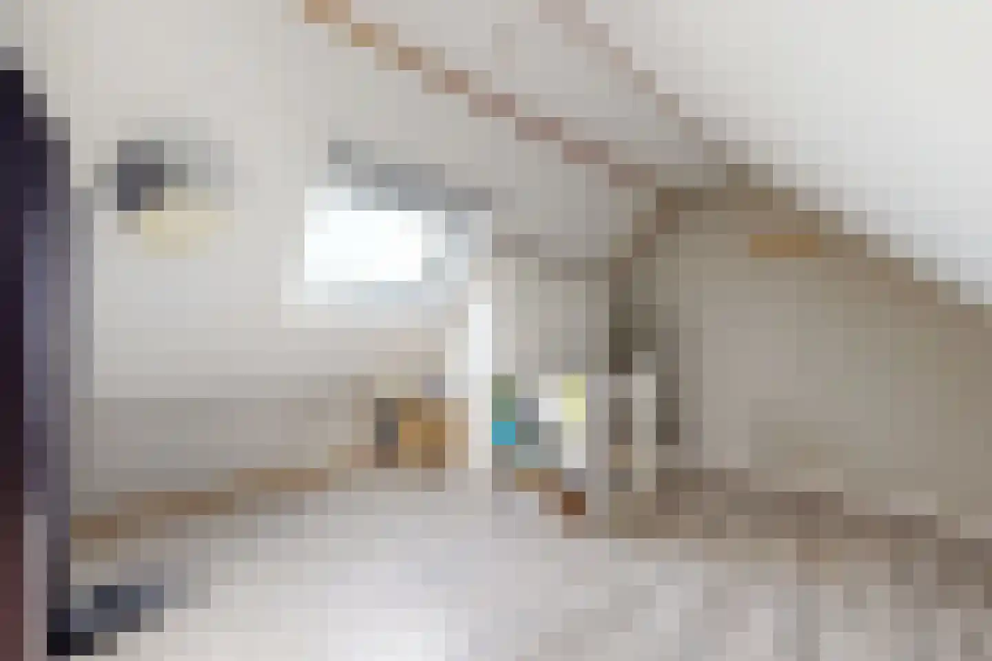 Wede 4 Zevenbergen thumbnail 49