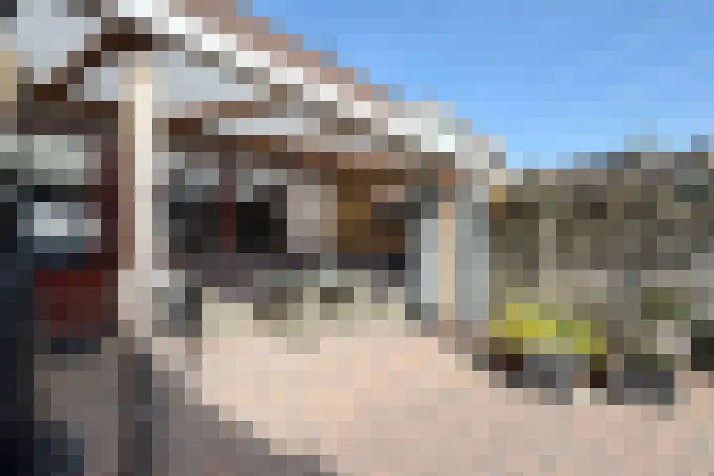 Wede 4 Zevenbergen thumbnail 54