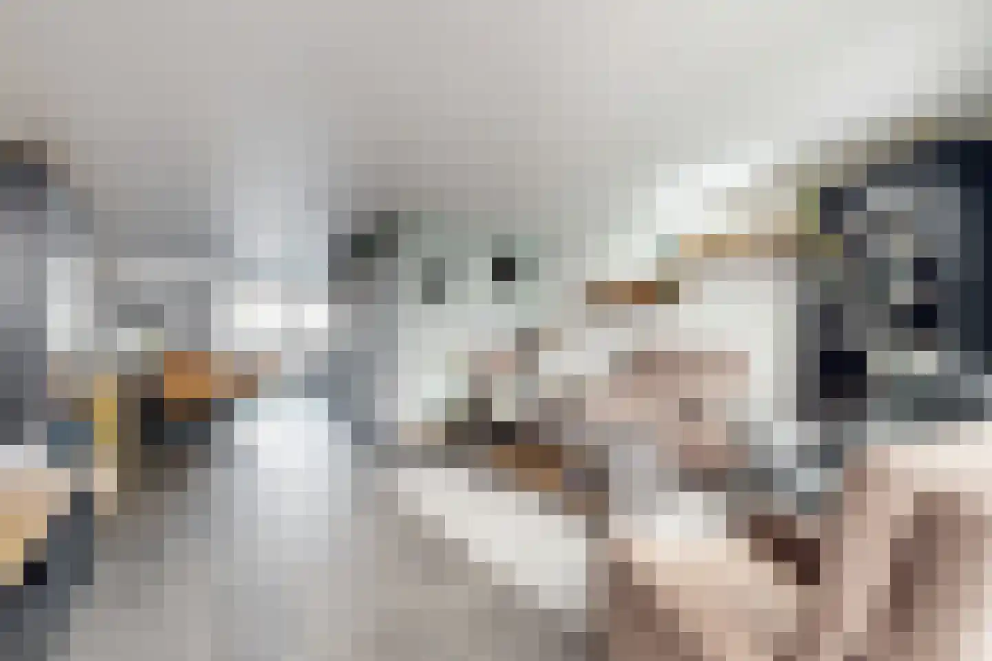 Wede 4 Zevenbergen thumbnail 9