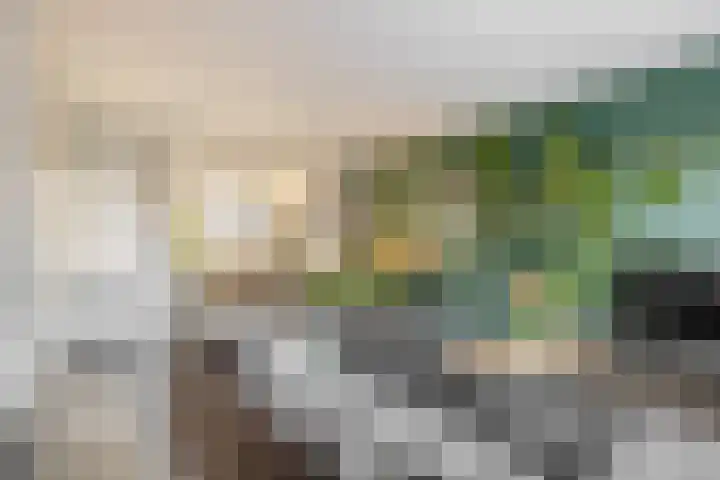 Wede 5 Zevenbergen thumbnail 10