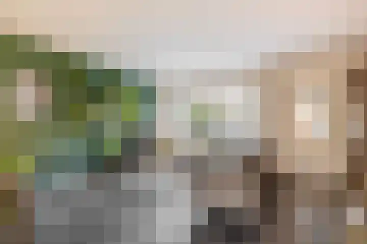 Wede 5 Zevenbergen thumbnail 11