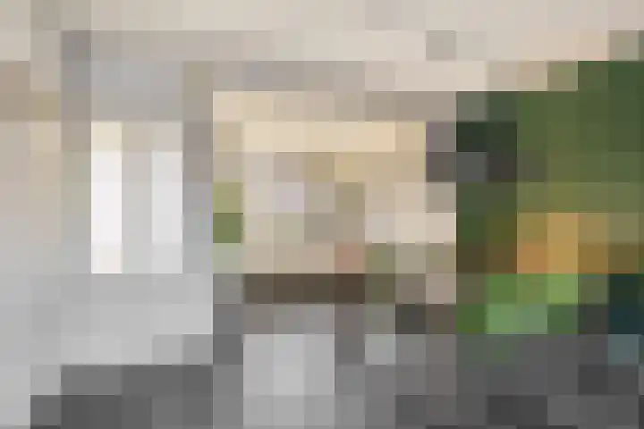 Wede 5 Zevenbergen thumbnail 12