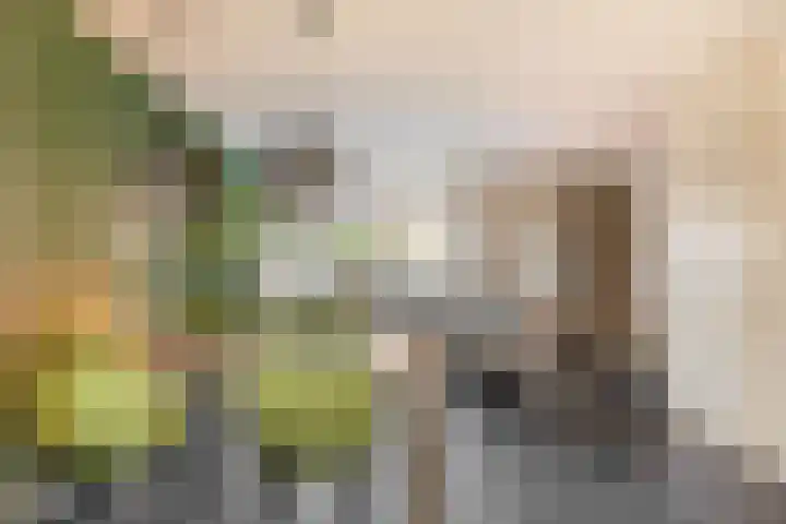 Wede 5 Zevenbergen thumbnail 13