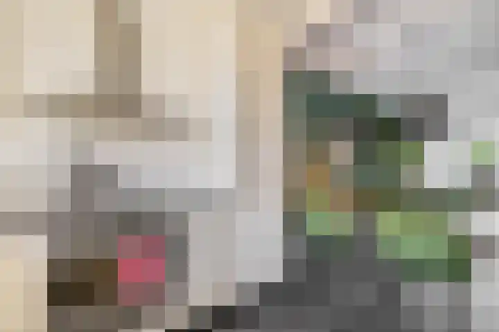Wede 5 Zevenbergen thumbnail 14