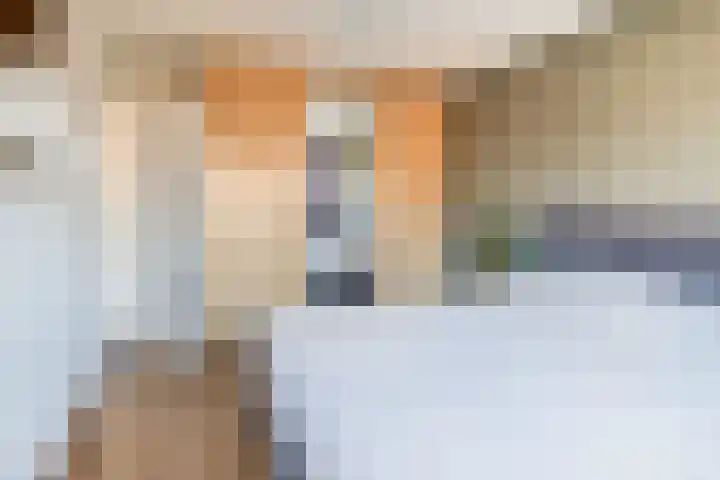 Wede 5 Zevenbergen thumbnail 18