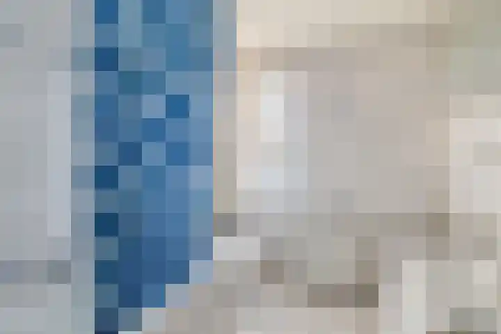 Wede 5 Zevenbergen thumbnail 21
