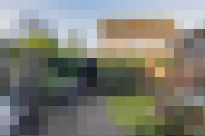 Wede 5 Zevenbergen thumbnail 22