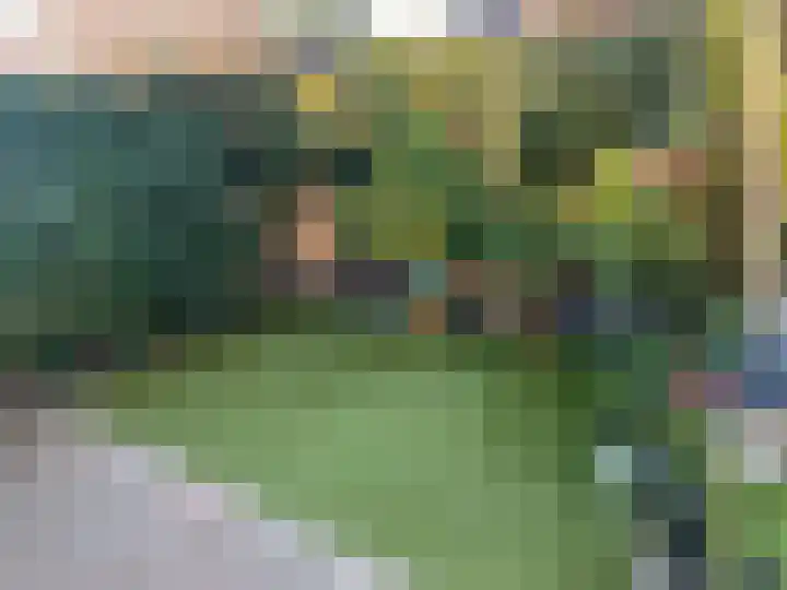 Wede 5 Zevenbergen thumbnail 23