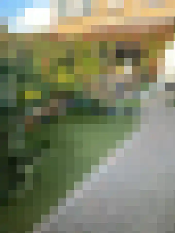 Wede 5 Zevenbergen thumbnail 25
