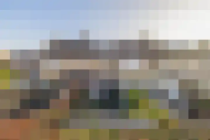 Wede 5 Zevenbergen thumbnail 26