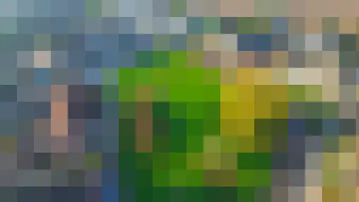 Wede 5 Zevenbergen thumbnail 31
