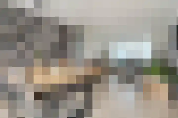 Wede 7 Geldrop thumbnail 16