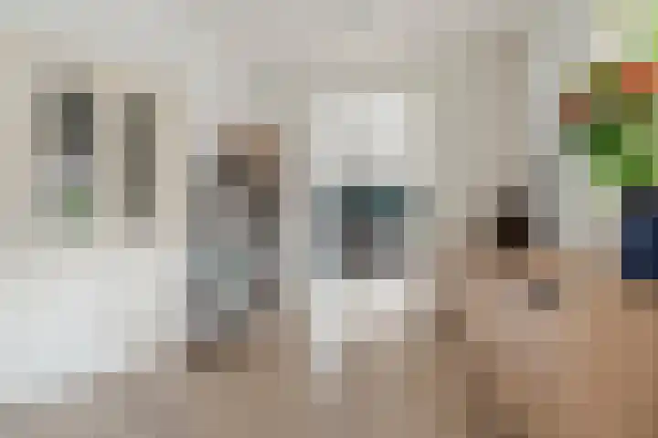 Wede 7 Geldrop thumbnail 18