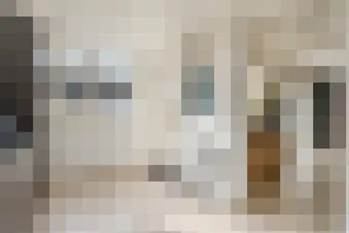 Wede 7 Geldrop thumbnail 22