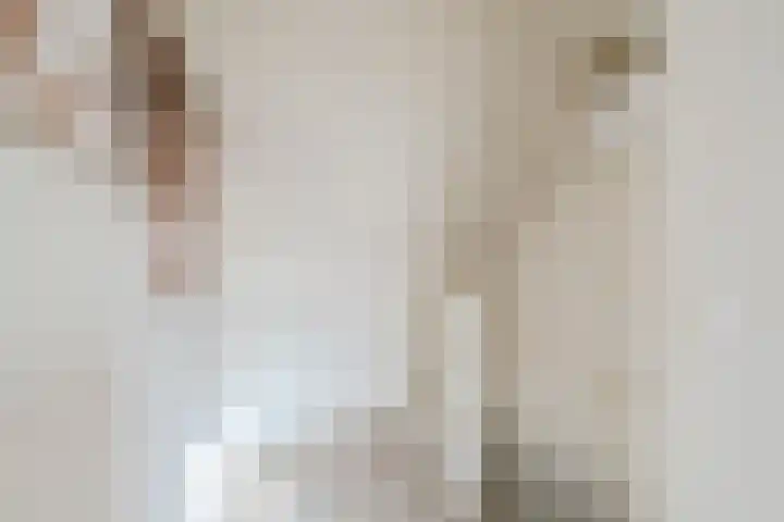 Wede 7 Geldrop thumbnail 35