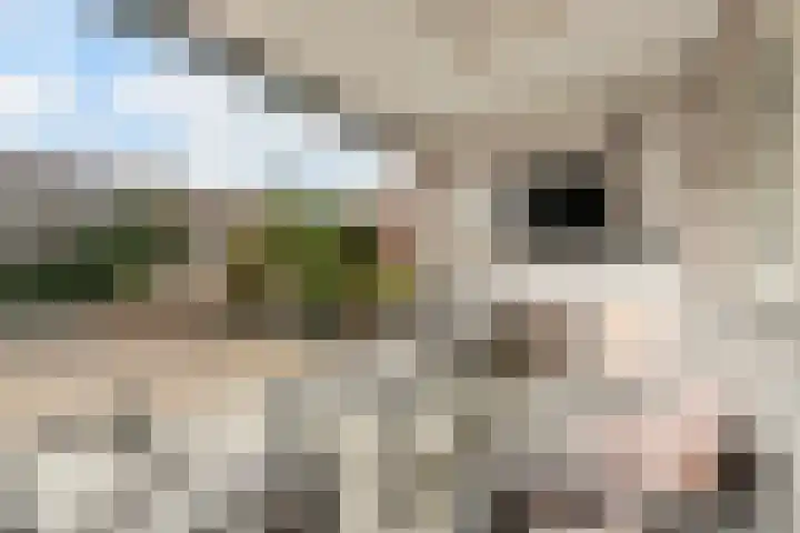 Wede 7 Geldrop thumbnail 39