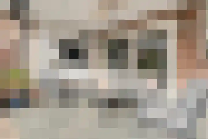 Wede 7 Geldrop thumbnail 42