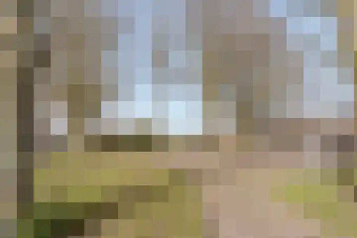 Wede 7 Geldrop thumbnail 50